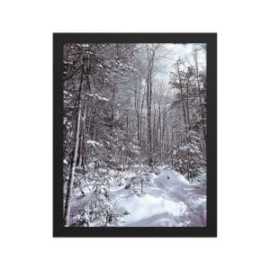 premium luster photo paper framed poster in black 11x14 front 682d16d95f987.jpg