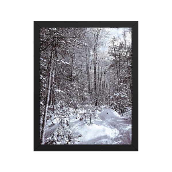 premium luster photo paper framed poster in black 11x14 front 682d16d95f987.jpg