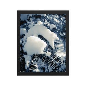 premium luster photo paper framed poster in black 11x14 front 682d193ae51d1.jpg