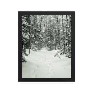 premium luster photo paper framed poster in black 11x14 front 682d1b2eccc71.jpg