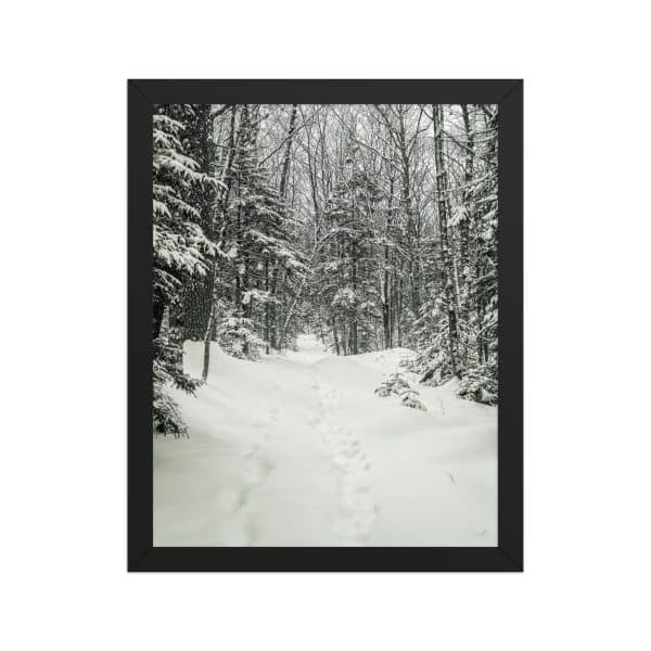 premium luster photo paper framed poster in black 11x14 front 682d1b2eccc71.jpg