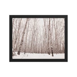 premium luster photo paper framed poster in black 11x14 front 682d98ab8d9c2.jpg