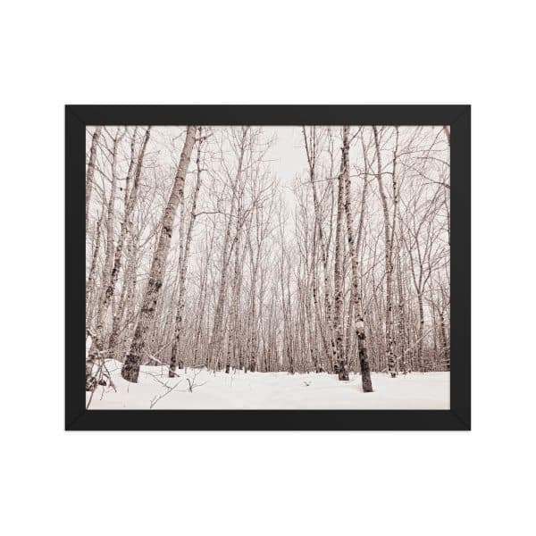 premium luster photo paper framed poster in black 11x14 front 682d98ab8d9c2.jpg