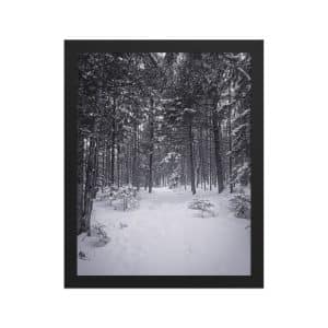 premium luster photo paper framed poster in black 11x14 front 682d9aa7ac362.jpg