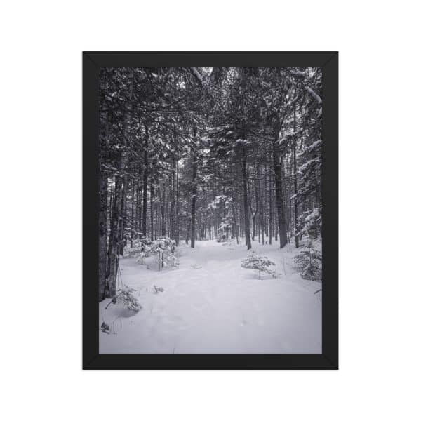 premium luster photo paper framed poster in black 11x14 front 682d9aa7ac362.jpg