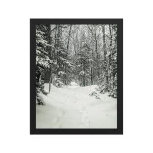 premium luster photo paper framed poster in black 11x14 front 682d9c6b3bb26.jpg