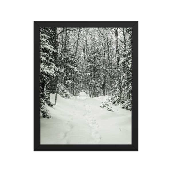 premium luster photo paper framed poster in black 11x14 front 682d9c6b3bb26.jpg