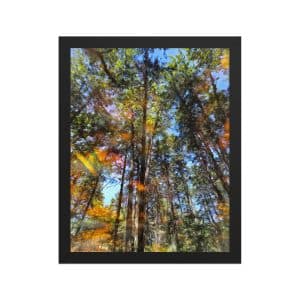 premium luster photo paper framed poster in black 11x14 front 682e646676a6f.jpg