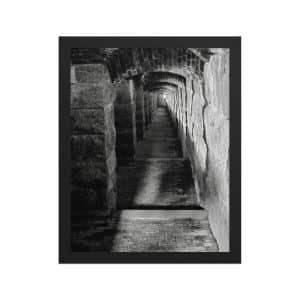 premium luster photo paper framed poster in black 11x14 front 682fb082b355a.jpg