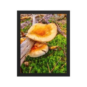 premium luster photo paper framed poster in black 11x14 front 68310c75cde90.jpg