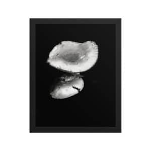 premium luster photo paper framed poster in black 11x14 front 68310ea35730f.jpg