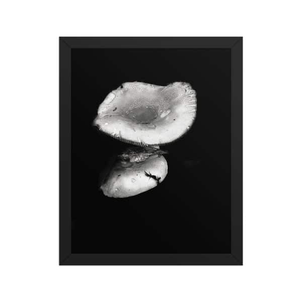 premium luster photo paper framed poster in black 11x14 front 68310ea35730f.jpg