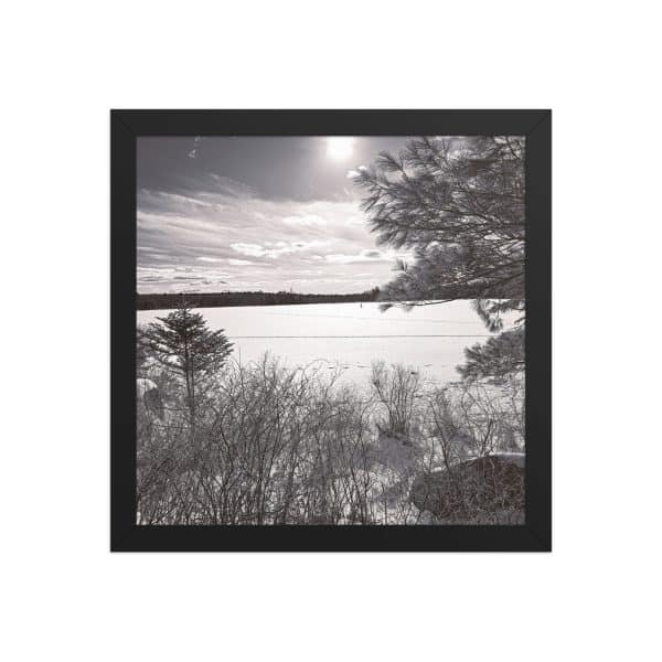 premium luster photo paper framed poster in black 12x12 front 682d0858bc11c.jpg