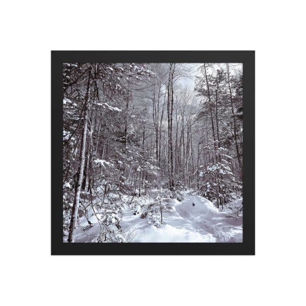 premium luster photo paper framed poster in black 12x12 front 682d16d9603d1.jpg