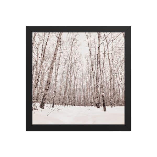 premium luster photo paper framed poster in black 12x12 front 682d98ab8e6e2.jpg