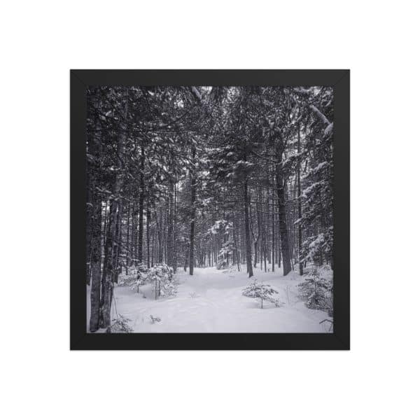 premium luster photo paper framed poster in black 12x12 front 682d9aa7aca3b.jpg