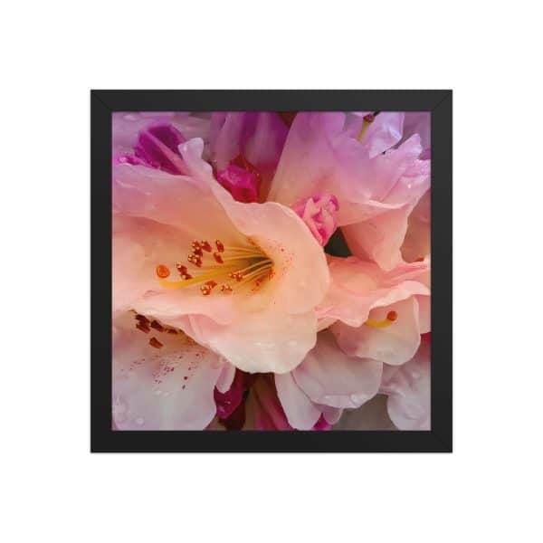 premium luster photo paper framed poster in black 12x12 front 683111d3350bf.jpg