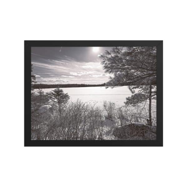 premium luster photo paper framed poster in black 12x16 front 682d0858bc216.jpg
