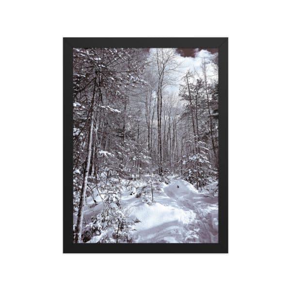 premium luster photo paper framed poster in black 12x16 front 682d16d960482.jpg