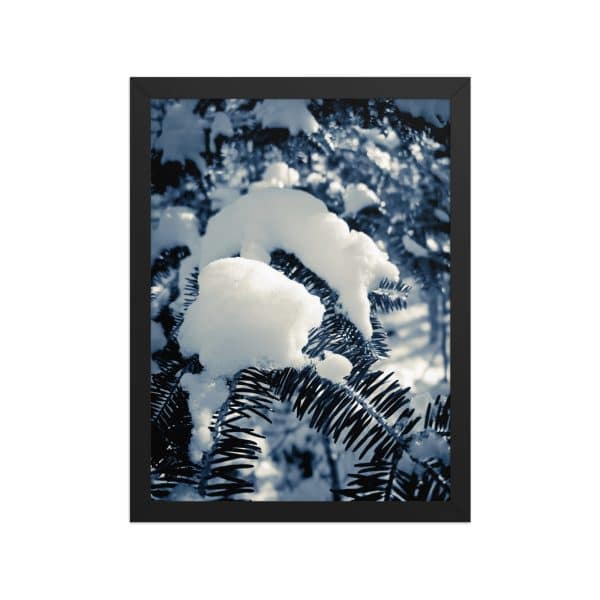 premium luster photo paper framed poster in black 12x16 front 682d193ae5be4.jpg