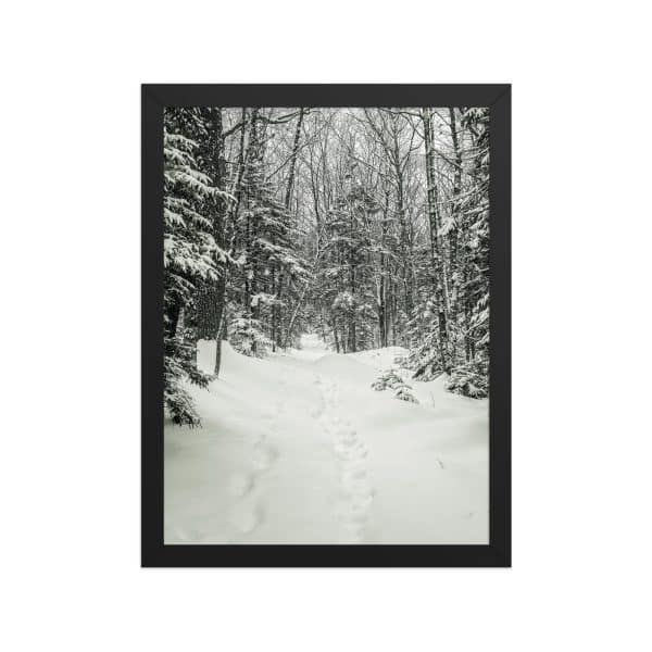 premium luster photo paper framed poster in black 12x16 front 682d1b2ecd8b0.jpg