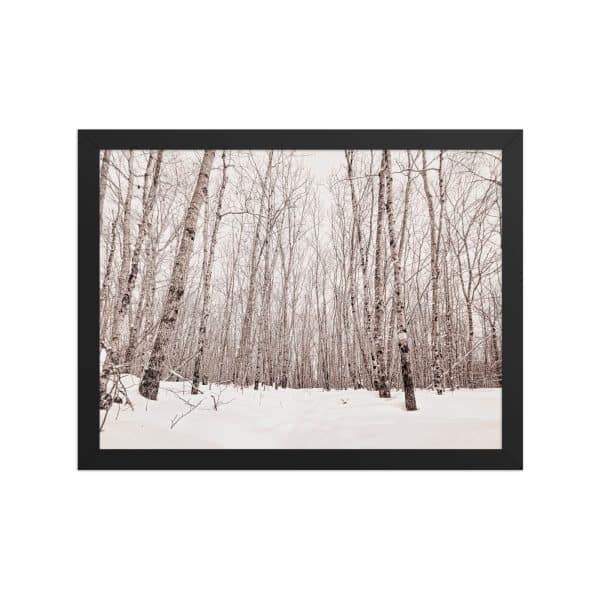 premium luster photo paper framed poster in black 12x16 front 682d98ab8e788.jpg