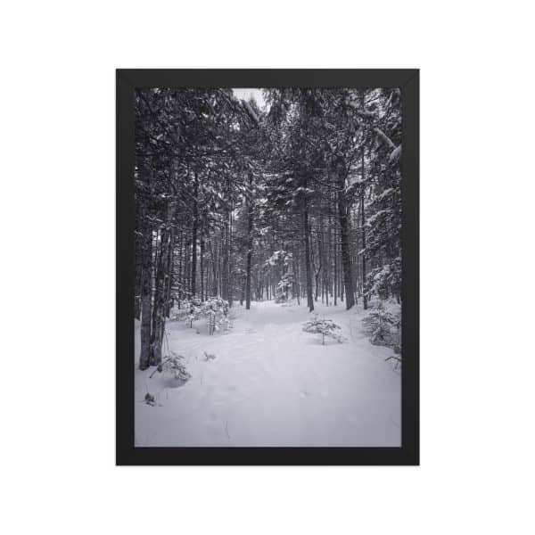 premium luster photo paper framed poster in black 12x16 front 682d9aa7acacc.jpg