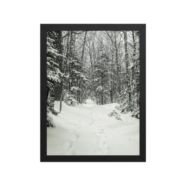 premium luster photo paper framed poster in black 12x16 front 682d9c6b3c8c2.jpg