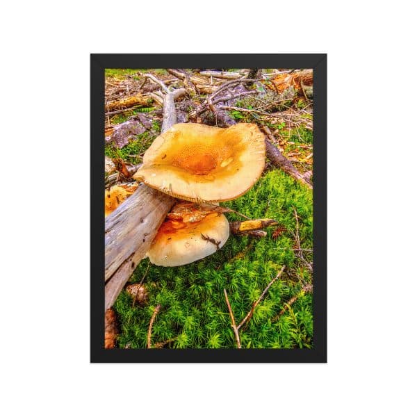 premium luster photo paper framed poster in black 12x16 front 68310c75ce9bc.jpg