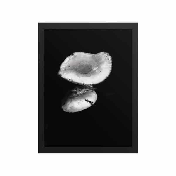 premium luster photo paper framed poster in black 12x16 front 68310ea357f1d.jpg
