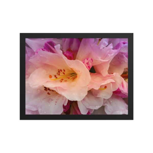 premium luster photo paper framed poster in black 12x16 front 683111d33514c.jpg