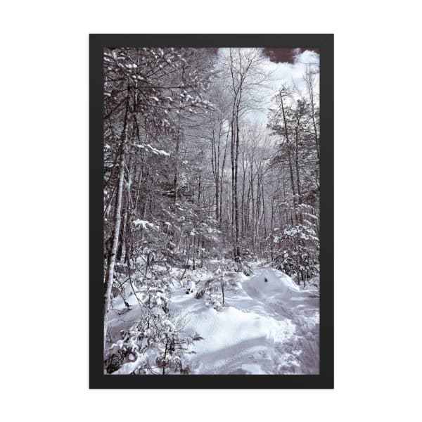 premium luster photo paper framed poster in black 12x18 front 682d16d960519.jpg