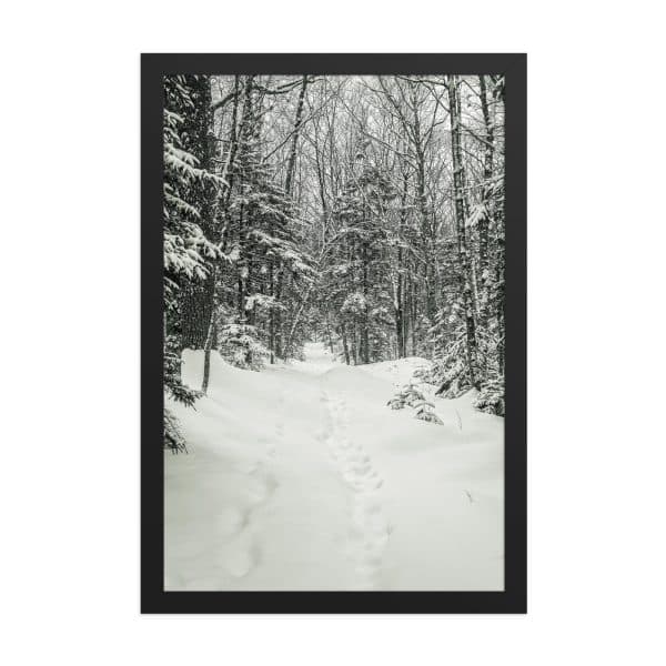 premium luster photo paper framed poster in black 12x18 front 682d1b2ecd984.jpg