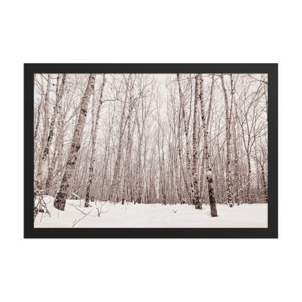 premium luster photo paper framed poster in black 12x18 front 682d98ab8e852.jpg
