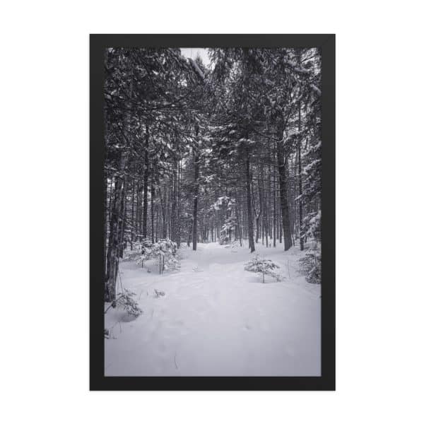 premium luster photo paper framed poster in black 12x18 front 682d9aa7acb5b.jpg