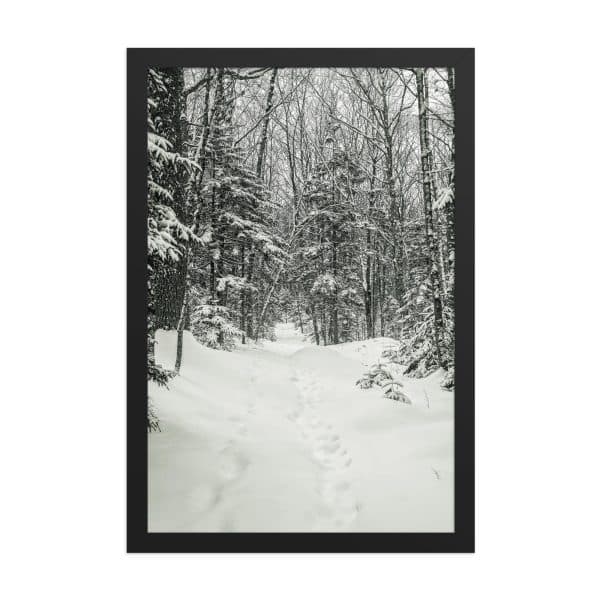 premium luster photo paper framed poster in black 12x18 front 682d9c6b3c9bb.jpg
