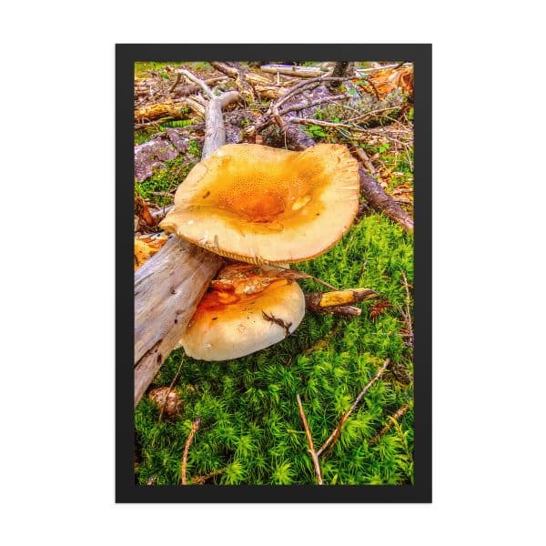premium luster photo paper framed poster in black 12x18 front 68310c75ceaba.jpg