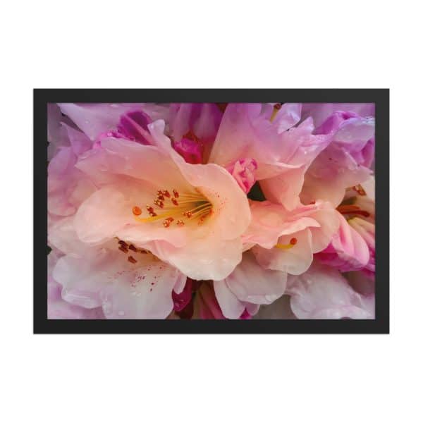 premium luster photo paper framed poster in black 12x18 front 683111d3351da.jpg