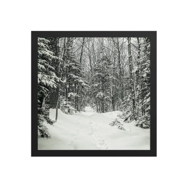 premium luster photo paper framed poster in black 14x14 front 682d1b2ecda26.jpg