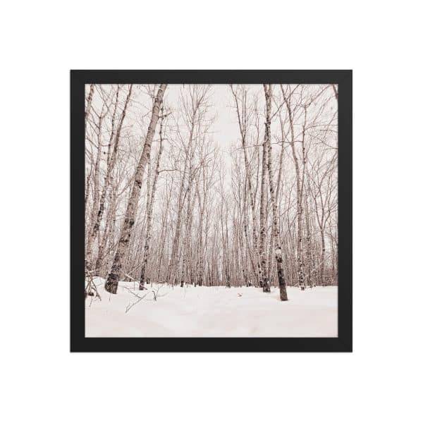premium luster photo paper framed poster in black 14x14 front 682d98ab8e93a.jpg