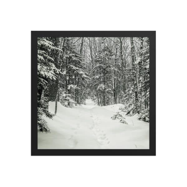 premium luster photo paper framed poster in black 14x14 front 682d9c6b3ca71.jpg