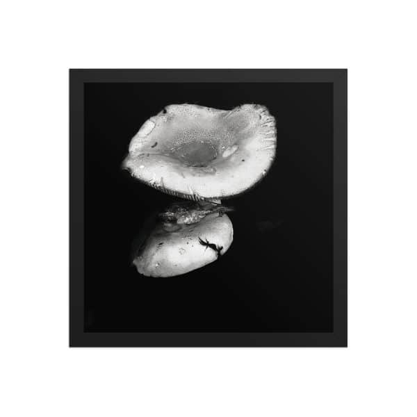 premium luster photo paper framed poster in black 14x14 front 68310ea35802e.jpg