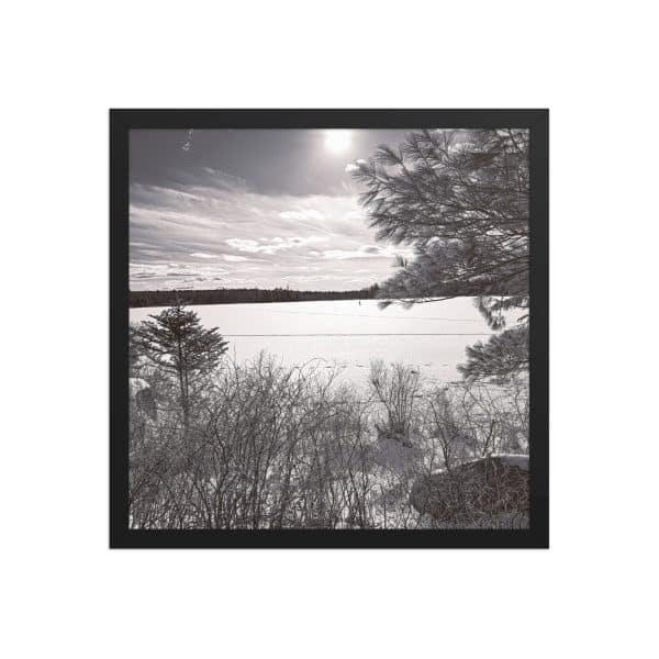 premium luster photo paper framed poster in black 16x16 front 682d0858bc504.jpg