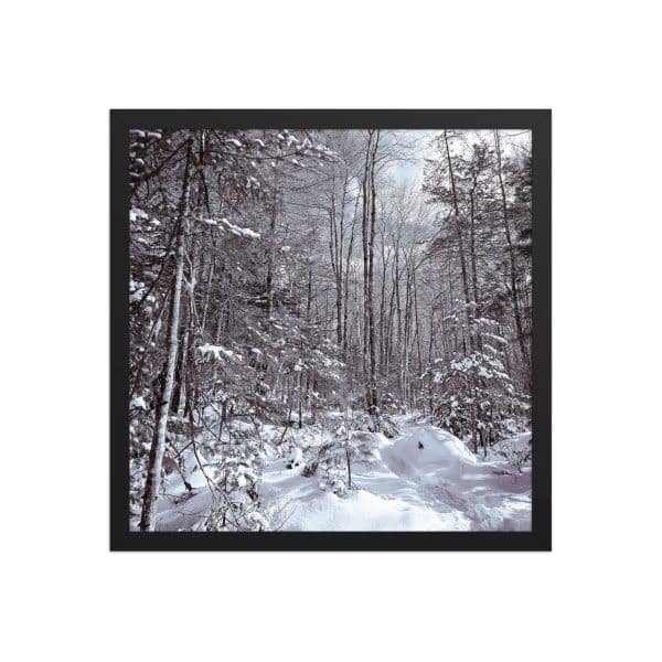 premium luster photo paper framed poster in black 16x16 front 682d16d960645.jpg