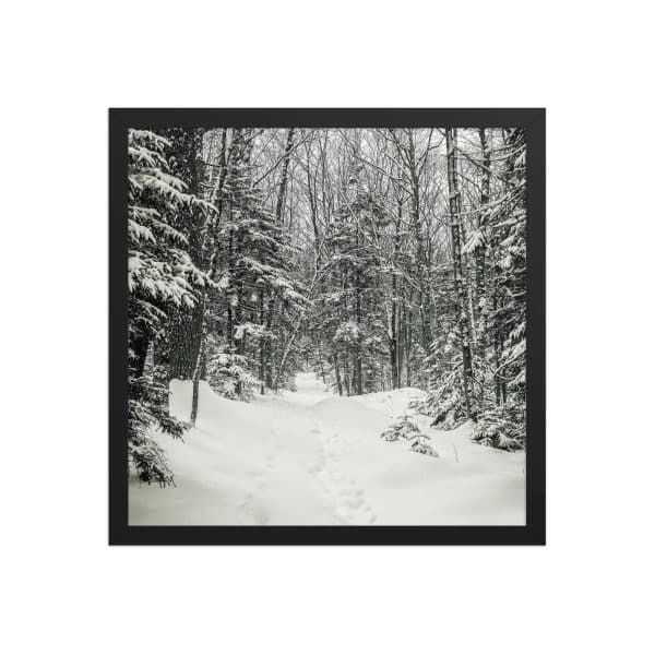 premium luster photo paper framed poster in black 16x16 front 682d1b2ecdabf.jpg
