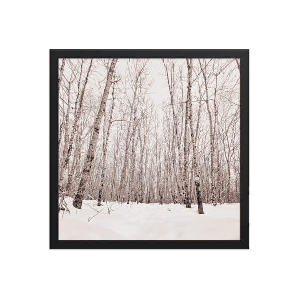 premium luster photo paper framed poster in black 16x16 front 682d98ab8e9f7.jpg