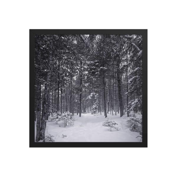 premium luster photo paper framed poster in black 16x16 front 682d9aa7acc73.jpg
