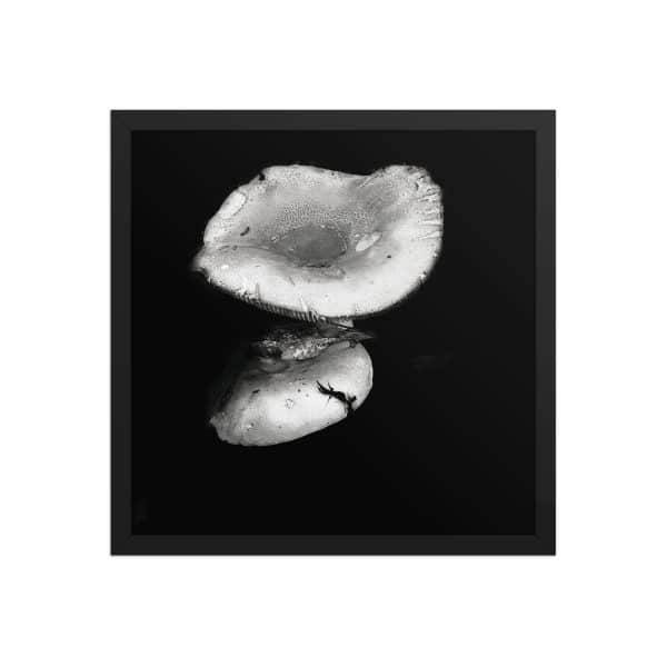 premium luster photo paper framed poster in black 16x16 front 68310ea3580c2.jpg