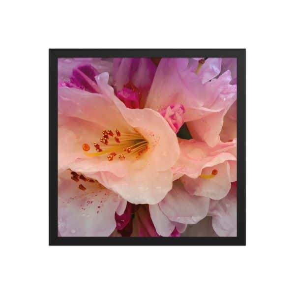 premium luster photo paper framed poster in black 16x16 front 683111d3352f1.jpg