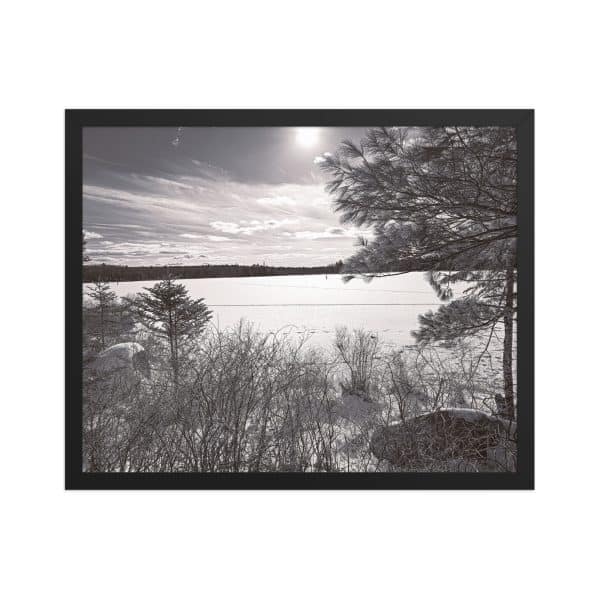 premium luster photo paper framed poster in black 16x20 front 682d0858bc5f7.jpg